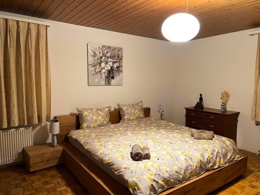 Chalet Maithili Lauterbrunnen -152-Year-Old Majestic Chalet Εξωτερικό φωτογραφία