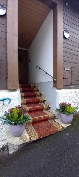 Chalet Maithili Lauterbrunnen -152-Year-Old Majestic Chalet Εξωτερικό φωτογραφία
